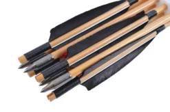 Flèches Pour Le Tir à L'arc - Lot De 8 -Sveltus Magasin fleches pour le tir a l arc lot de 12 2