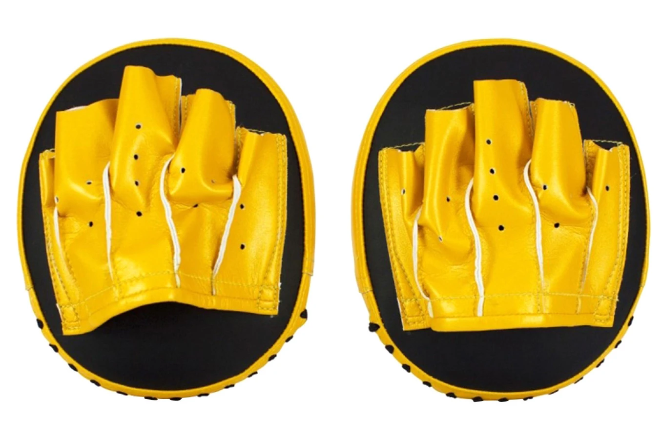 Pattes D'ours - Paraboliques, Fairtex 4 Pattes D'ours - Paraboliques, Fairtex – Image 4